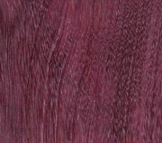 Purpleheart